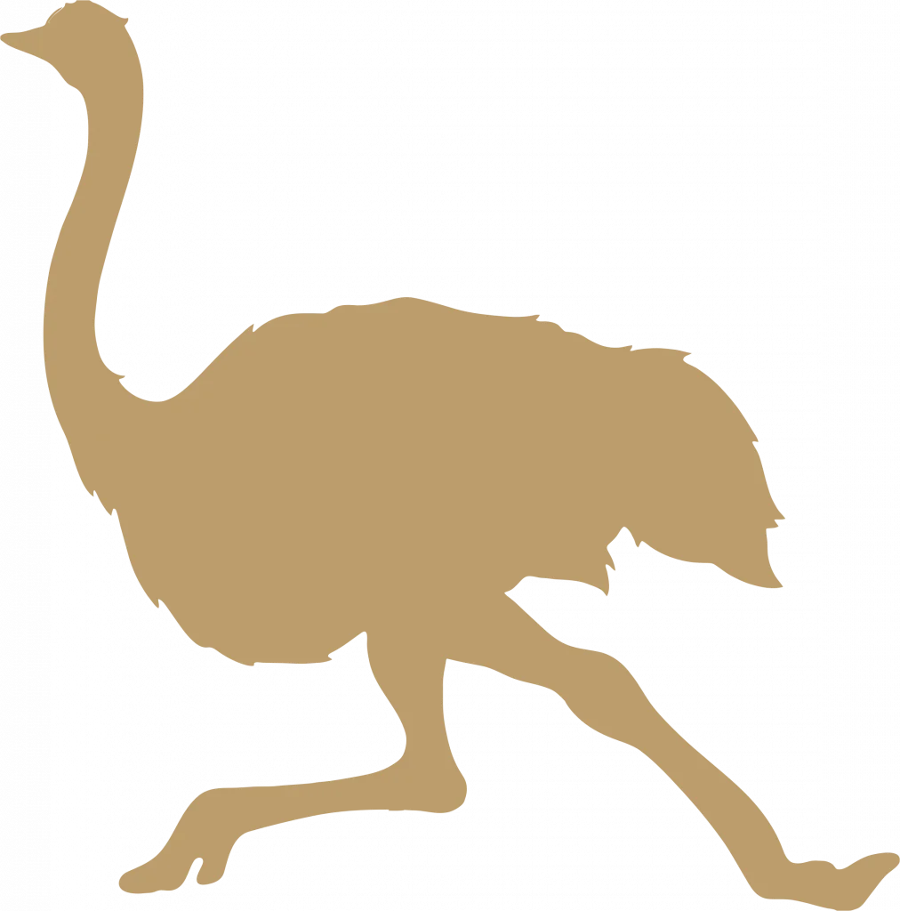 Hunting-Ostrich