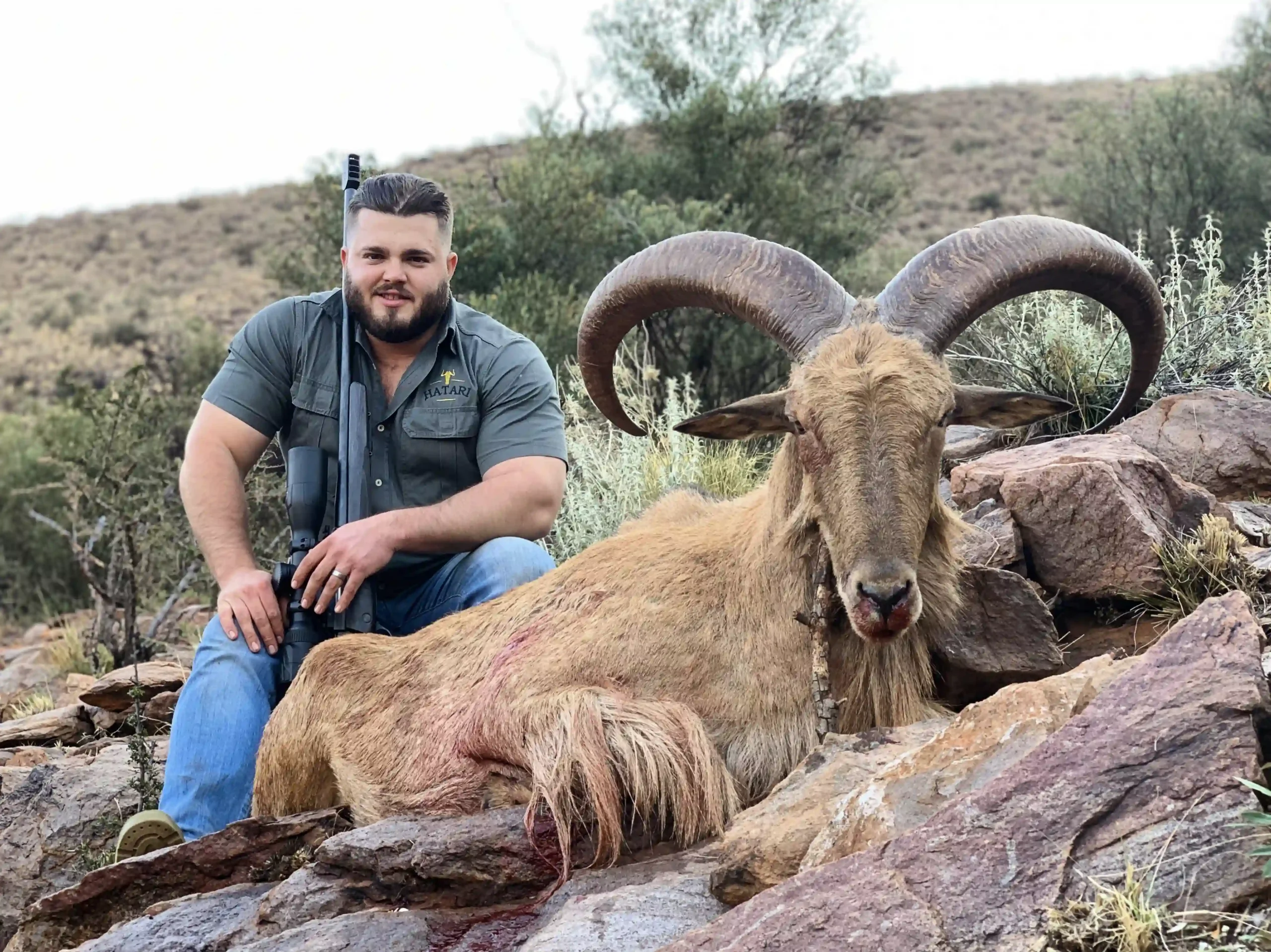 Hunting-barbary-sheep-south-africa
