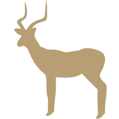 Hunting-white-flank-impala