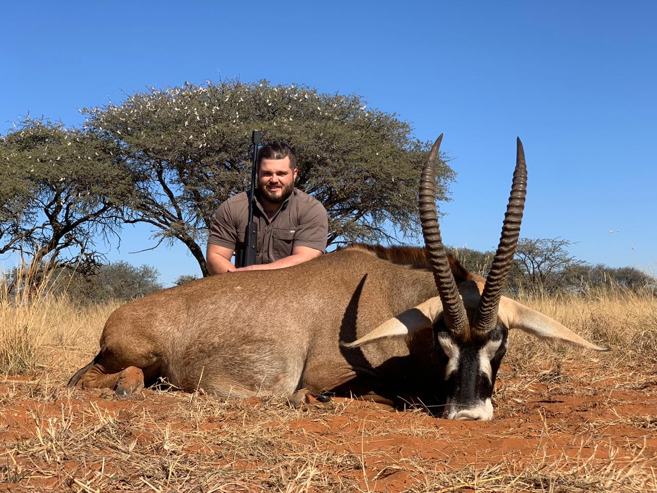 Roan-hunting-south-africa